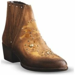 Exé Shoes Bottines / Boots Couleur Marron